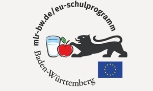 Das EU-Schulprogramm